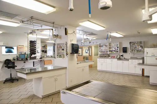 Rhinebeck Animal Hospital Picture 5