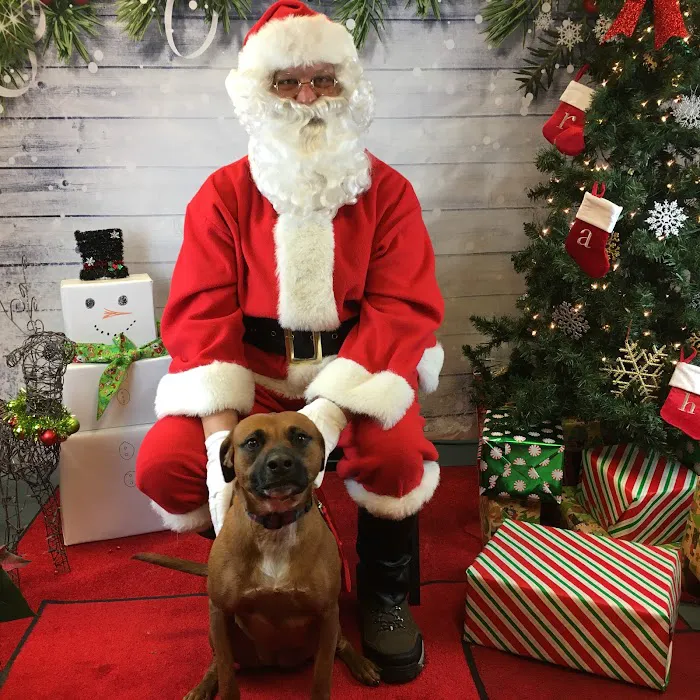 Rhinebeck Animal Hospital Picture 6