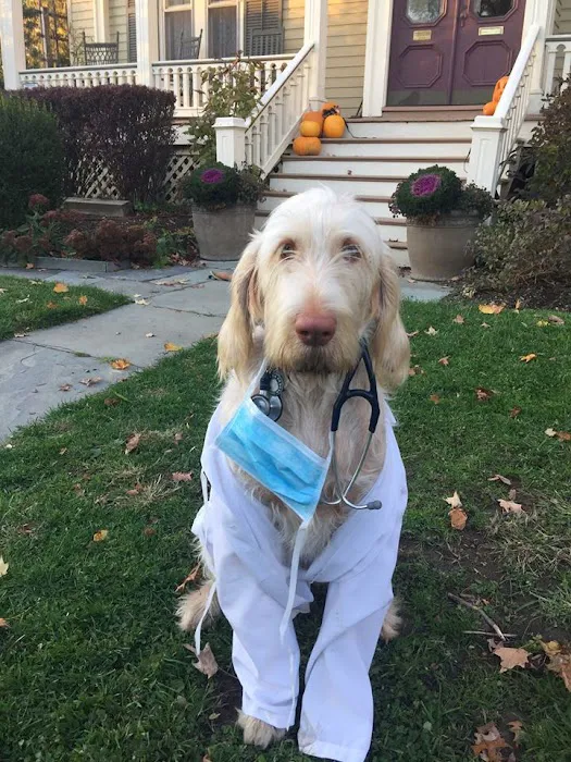 Rhinebeck Animal Hospital Picture 9