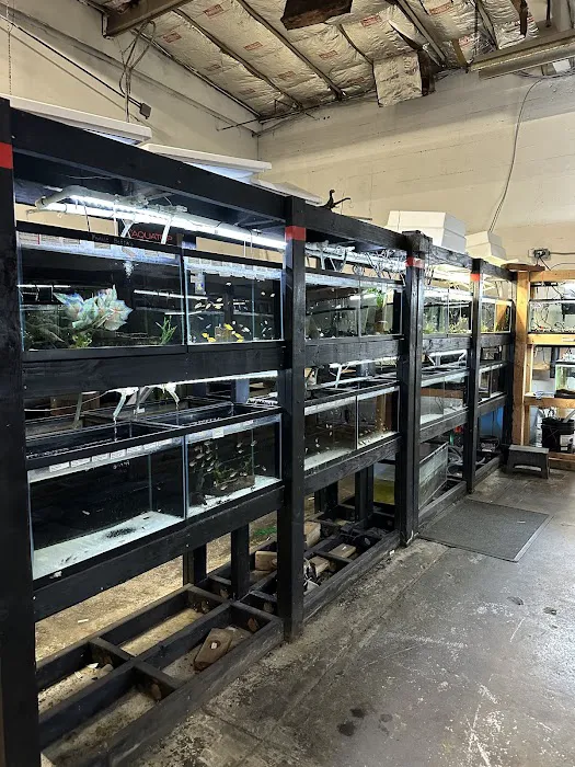 Bay Bridge Aquarium Picture 2