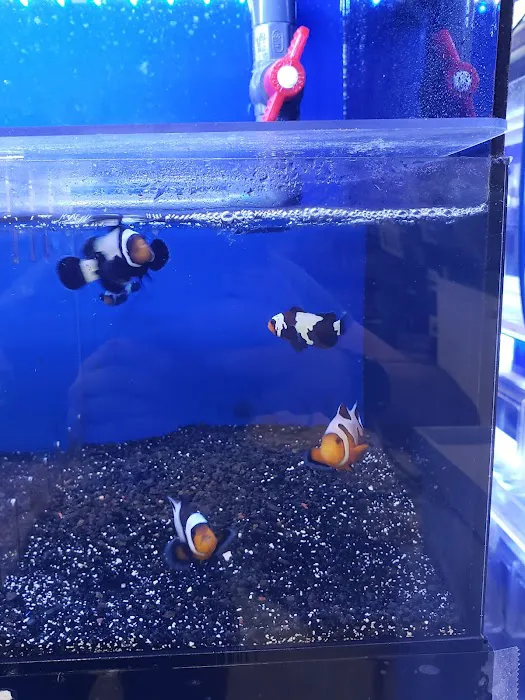 Bay Bridge Aquarium Picture 5