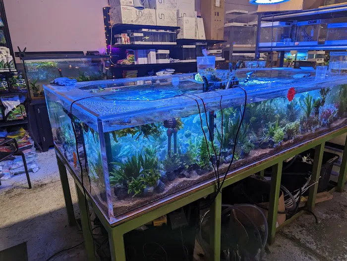 Bay Bridge Aquarium Picture 4