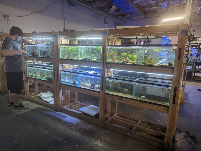 Bay Bridge Aquarium Picture 7