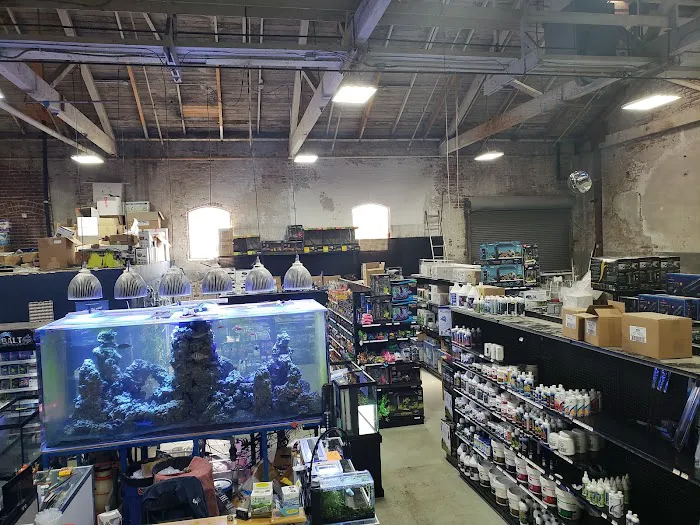 Bay Bridge Aquarium Picture 6