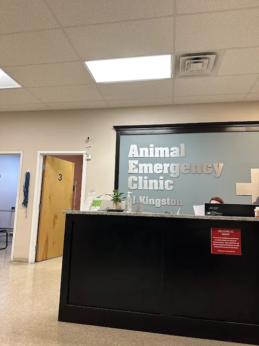 Animal Emergency Clinic of The Hudson Valley Picture 3