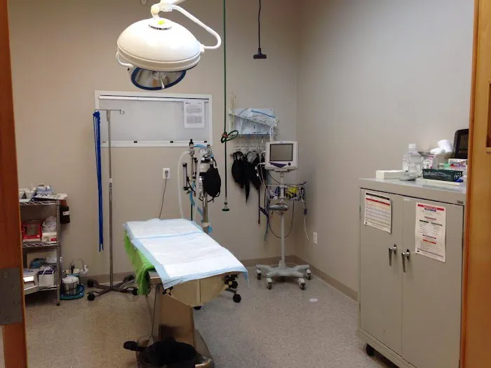 Animal Emergency Clinic of The Hudson Valley Picture 9