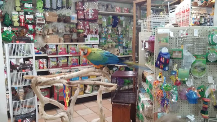 Your Basic Bird Picture 1