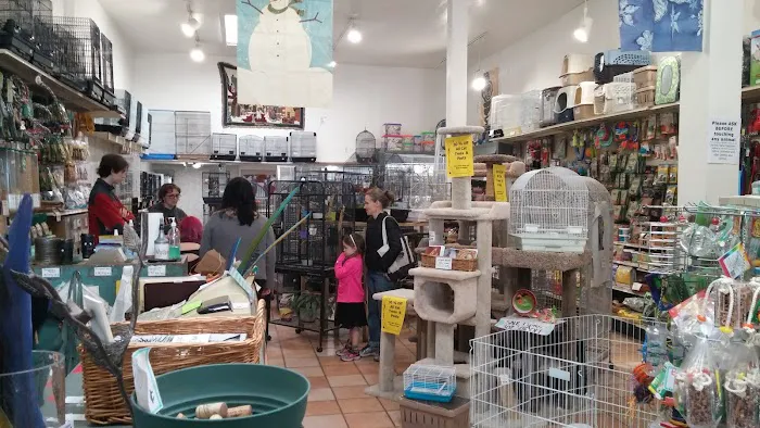 Your Basic Bird Picture 5