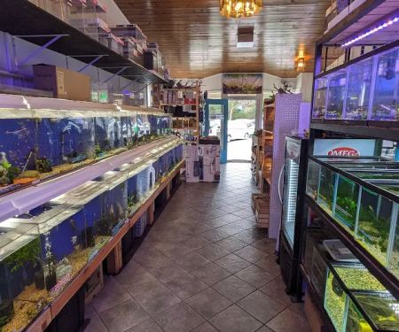 The Fish Barn