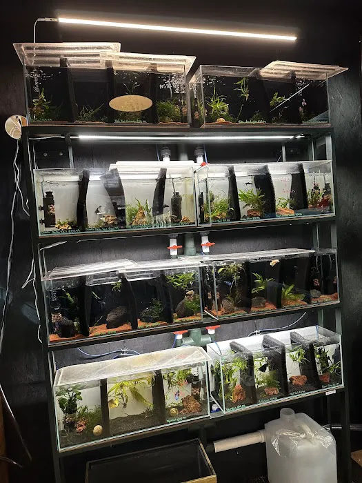 The Fish Barn Picture 2