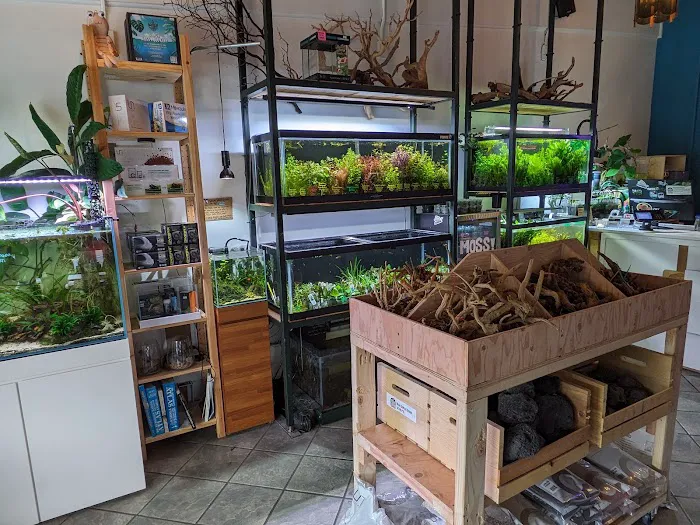 The Fish Barn Picture 4