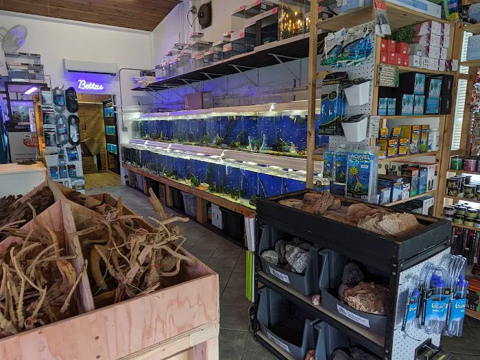 The Fish Barn Picture 7