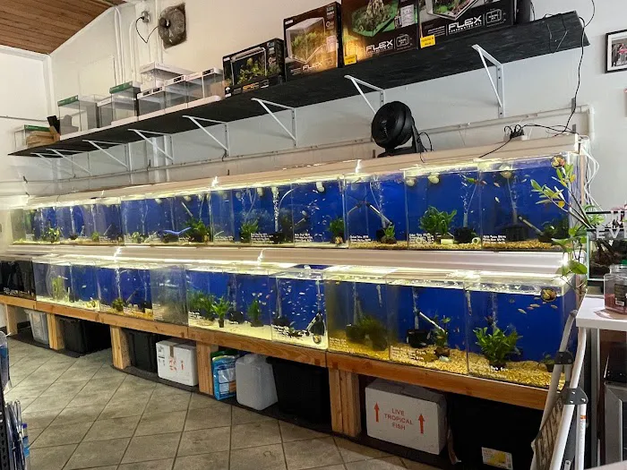 The Fish Barn Picture 6