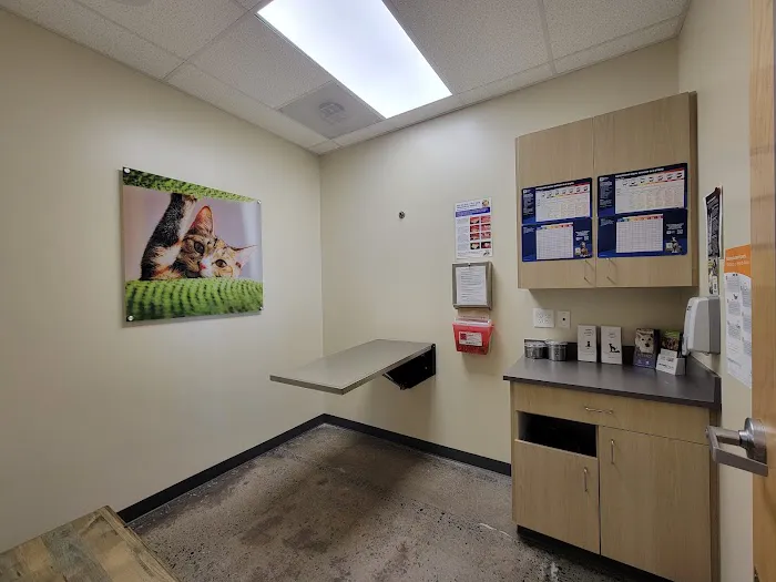 Vetco Total Care Animal Hospital Picture 2