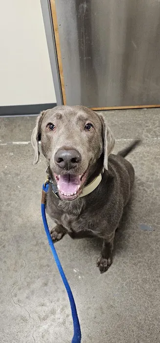 Vetco Total Care Animal Hospital Picture 4