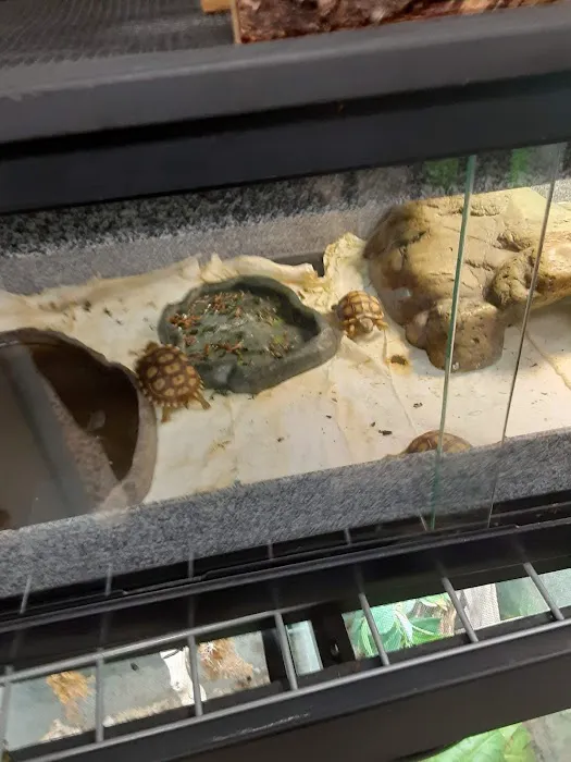 Reptilemania Picture 2