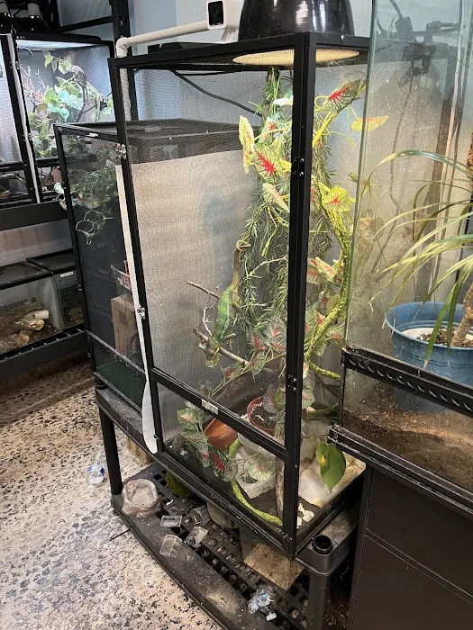 Reptilemania Picture 8