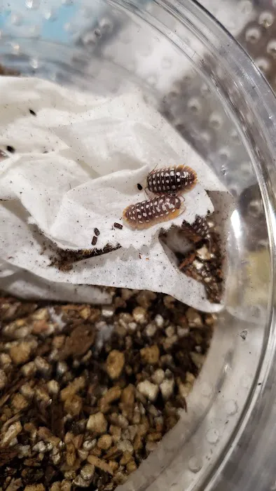 Reptilemania Picture 10