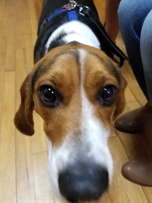 Argos Animal Hospital Picture 6