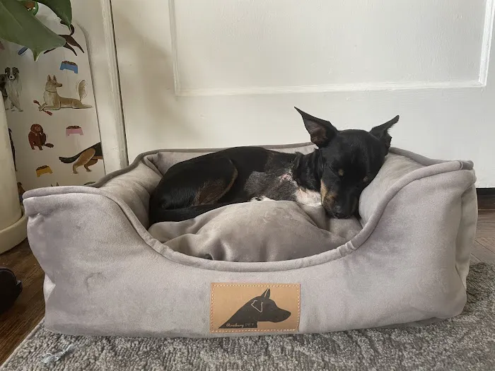 Black Nose Trading Co. Picture 3