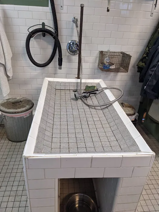 Black Nose Trading Co. Picture 2