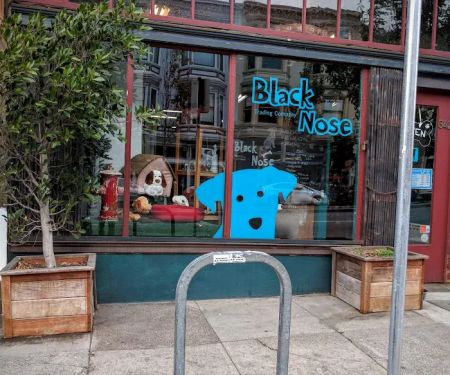 Black Nose Trading Co.