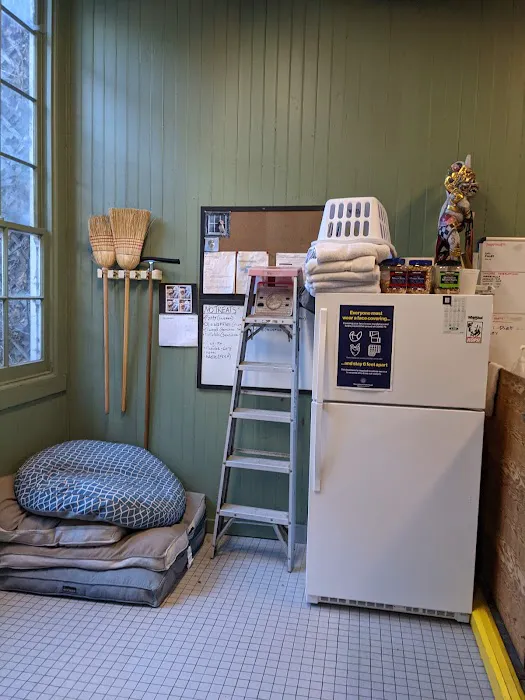 Black Nose Trading Co. Picture 5