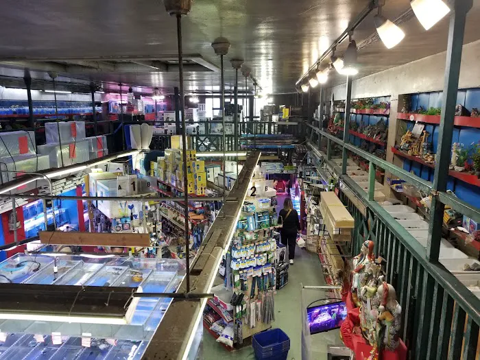 6th Avenue Aquarium Picture 2