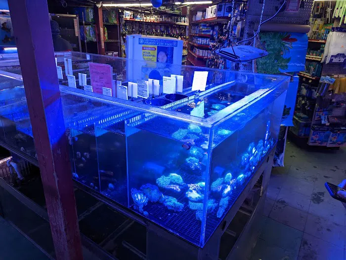 6th Avenue Aquarium Picture 4