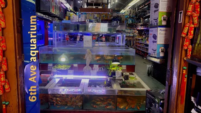 6th Avenue Aquarium Picture 10
