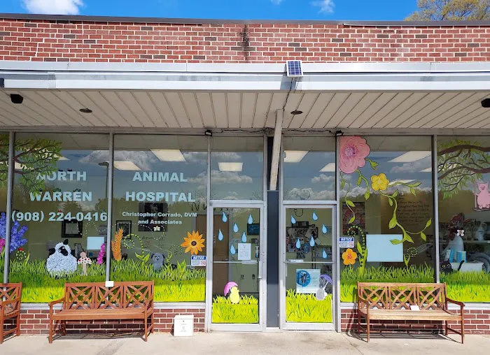 Ocean Flower Picture 4