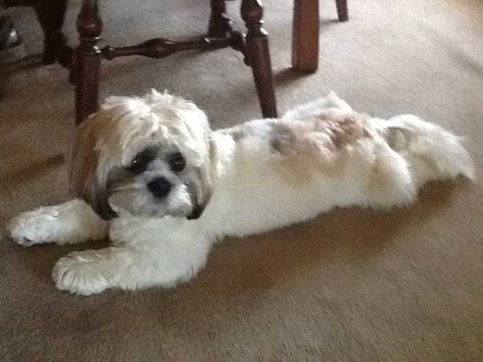 Ocean Flower Picture 5