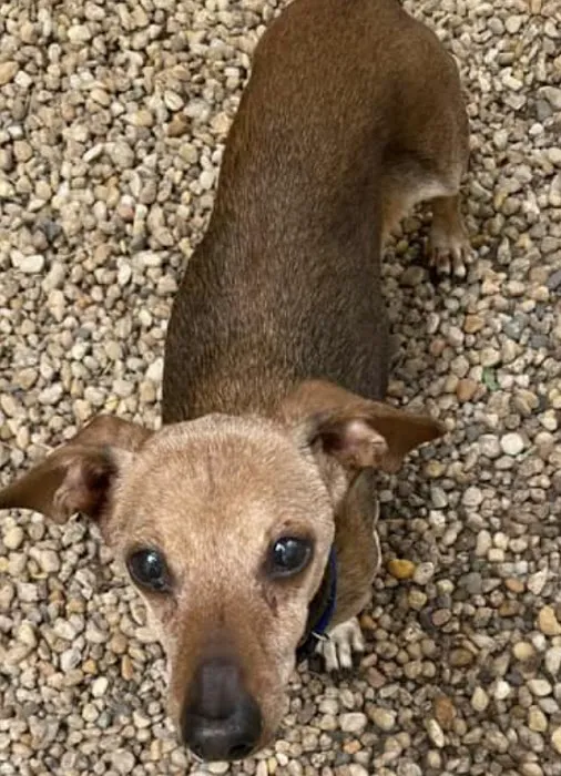 Ocean Flower Picture 6