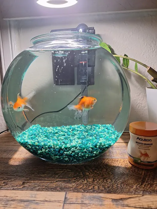 Ocean Flower Picture 10