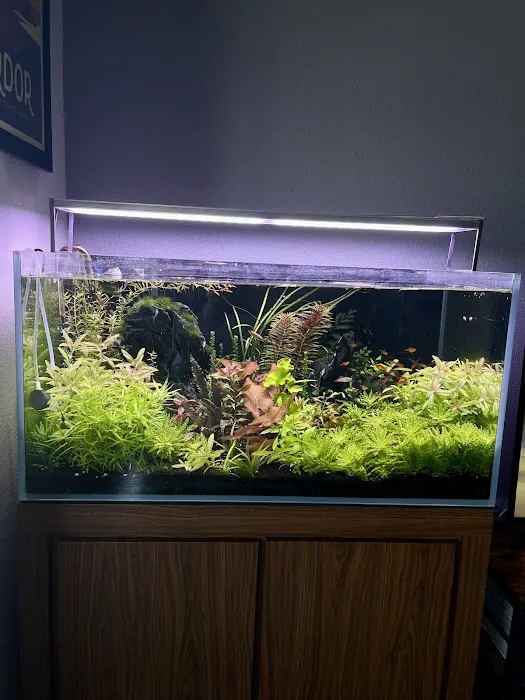 Ocean Flower Picture 13