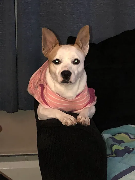 Mt Bethel Animal Hospital Picture 1