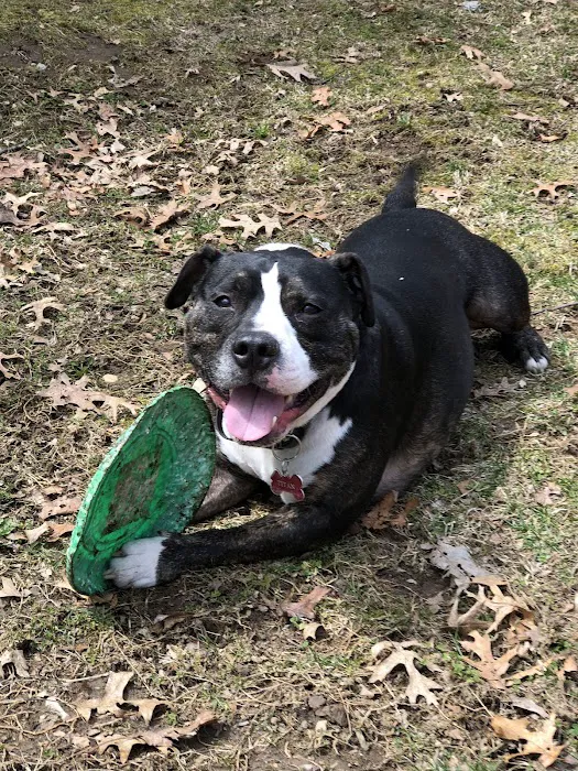 Mt Bethel Animal Hospital Picture 2