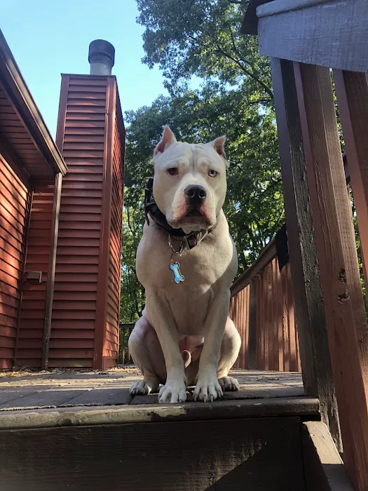 Mt Bethel Animal Hospital Picture 5