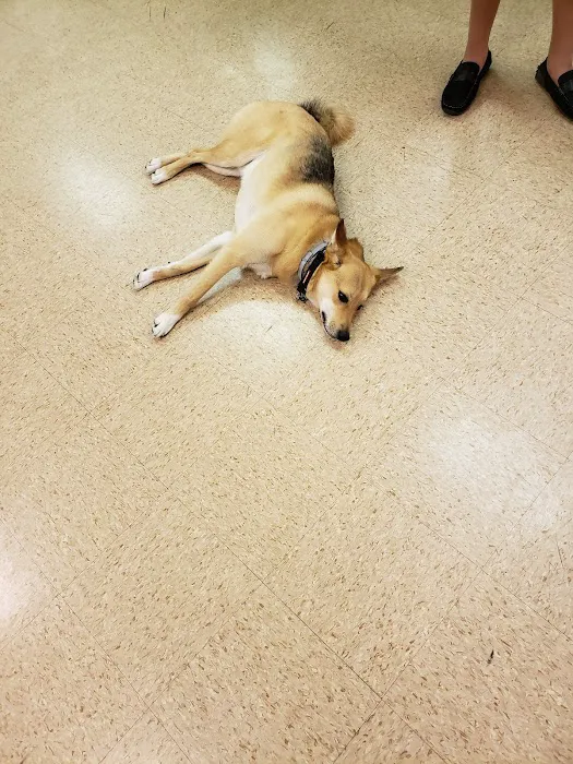 Mt Bethel Animal Hospital Picture 4