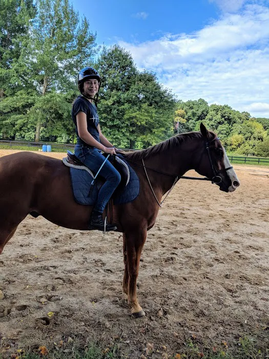 Mt Bethel Animal Hospital Picture 6