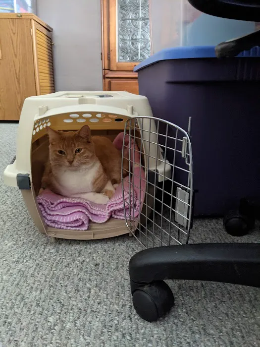 Mt Bethel Animal Hospital Picture 7