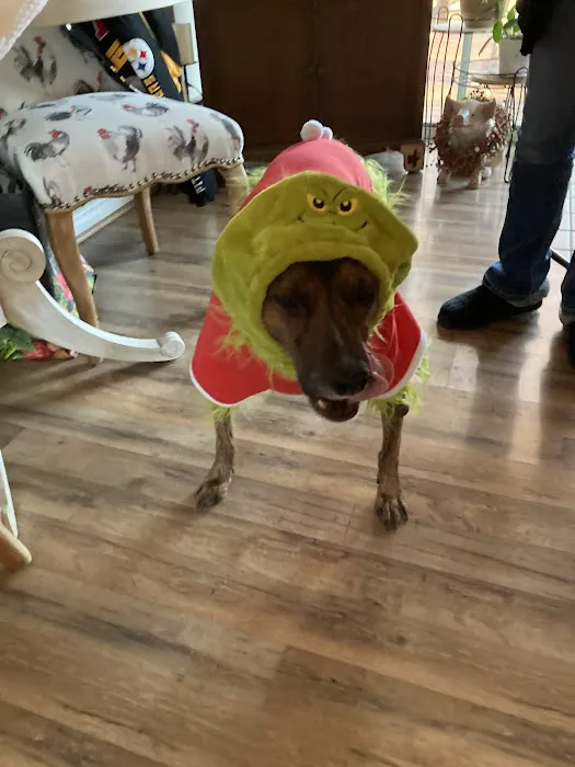 Mt Bethel Animal Hospital Picture 8