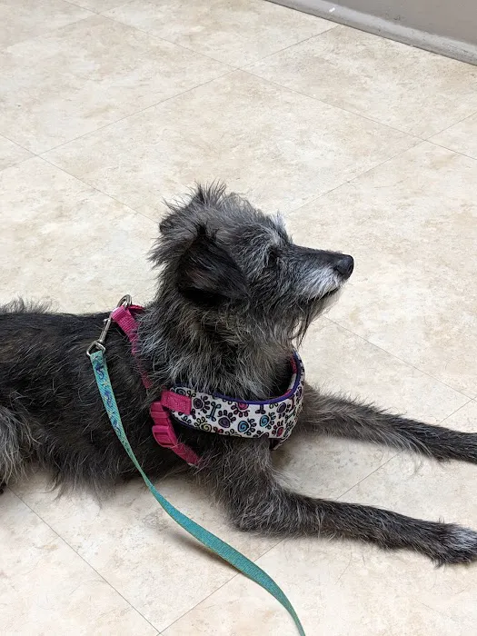 Mt Bethel Animal Hospital Picture 10