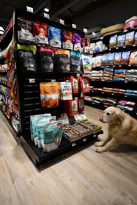 Woodlands Pet Shop Picture 3