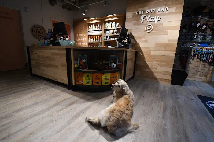 Woodlands Pet Shop Picture 5