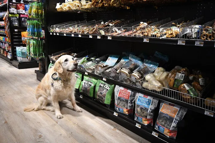 Woodlands Pet Shop Picture 6