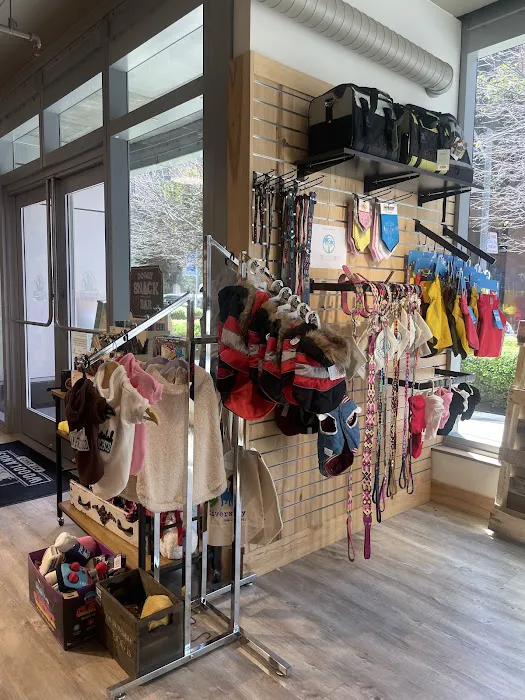 Woodlands Pet Shop Picture 7