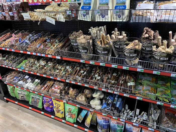 Woodlands Pet Shop Picture 9