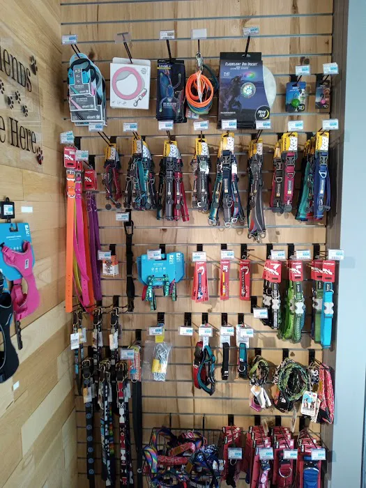 Woodlands Pet Shop Picture 10