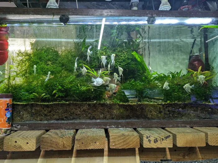 Ocean Aquarium Picture 9